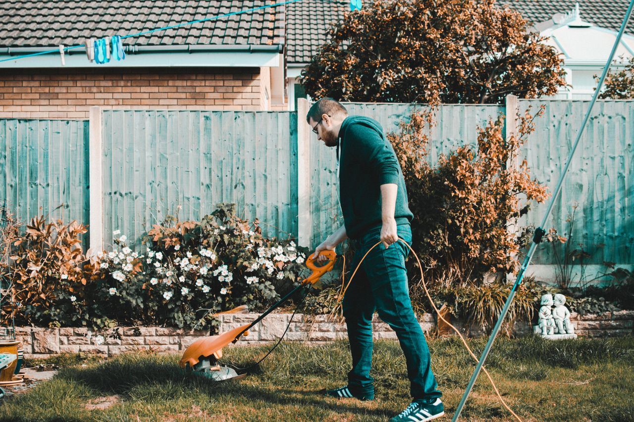 Yard cleanup
